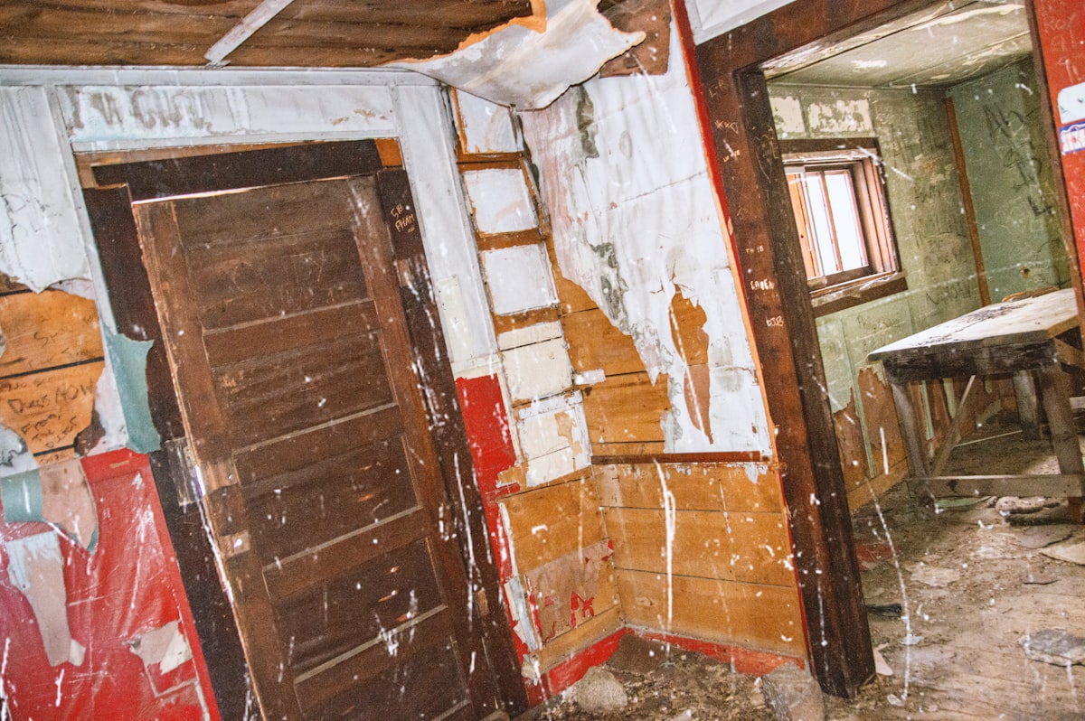 Mold Remediation service in Wichita Falls, TX