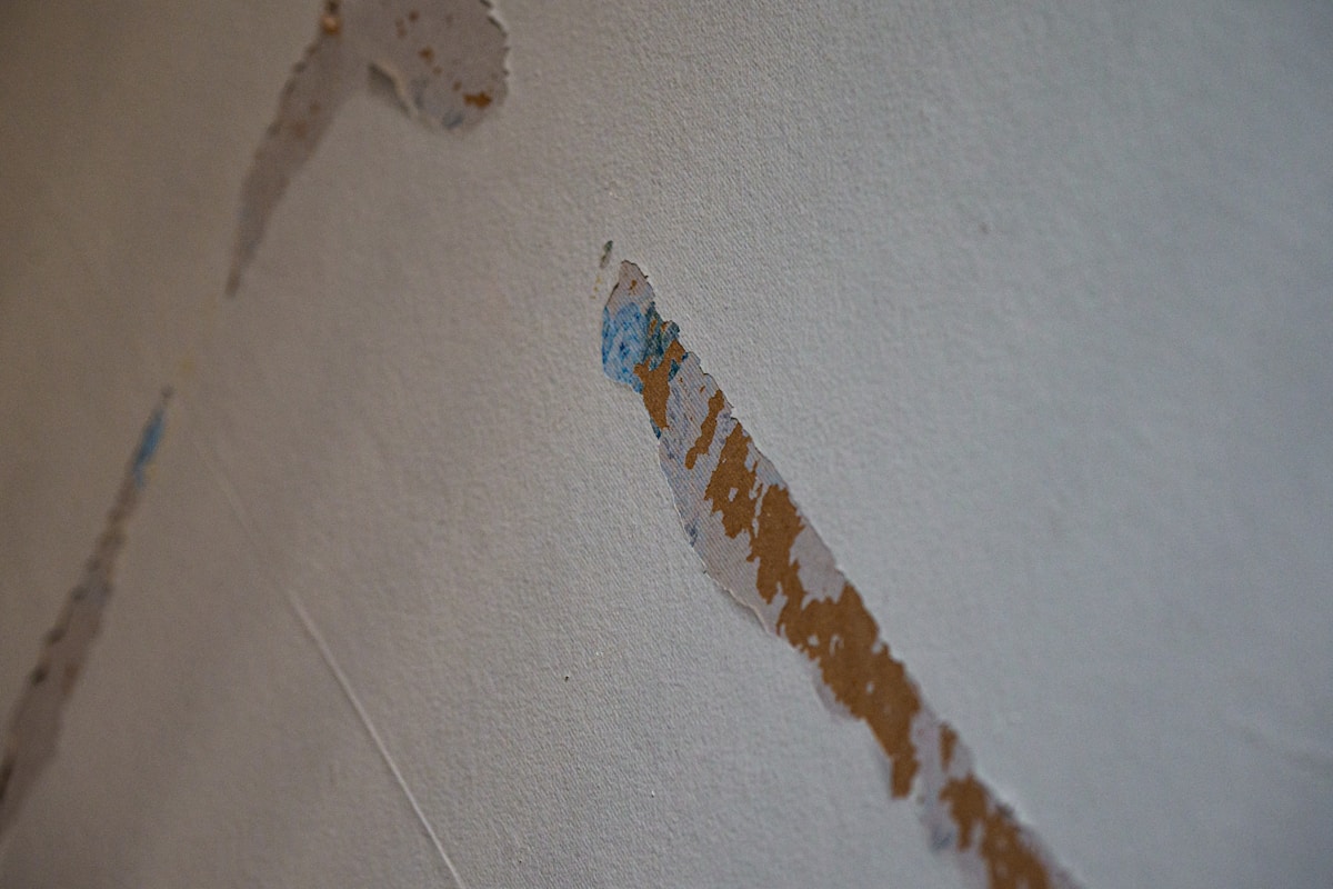 Storm Damage Repair service in Wichita Falls, TX